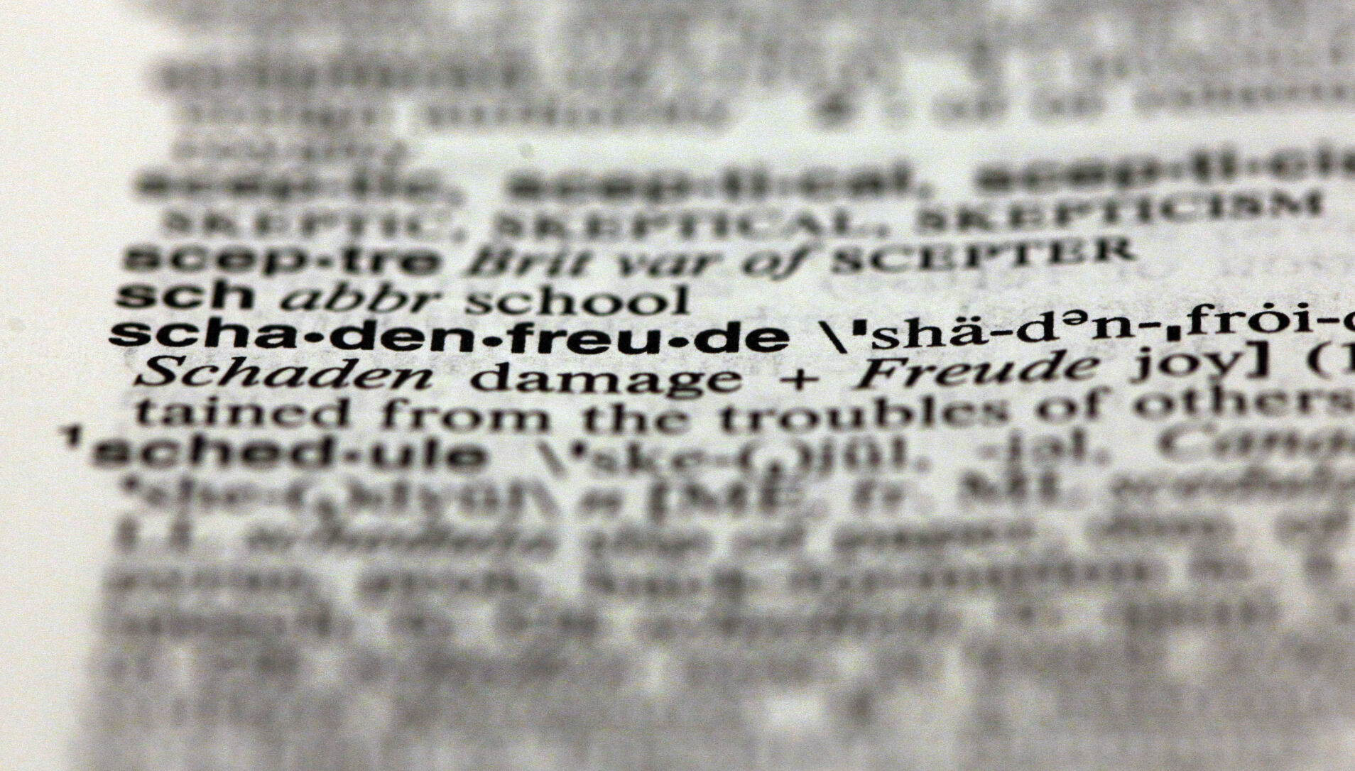 schadenfreude